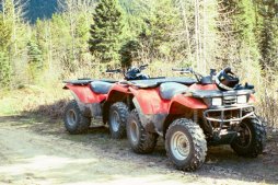 Die ATV's